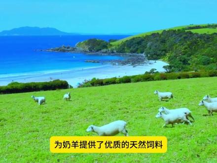 新西兰作为全球公认的黄金羊奶 奶源地,深受全球消费者信赖。 @抖音小助手 @企业号小助手