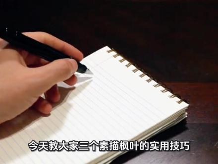 个人今日绘画枫叶教程