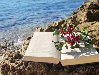 全面阅读5家优秀公司