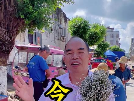 #谷精草 你们见过这个草吗?#每天学习一点点 #宝妈 #煲汤