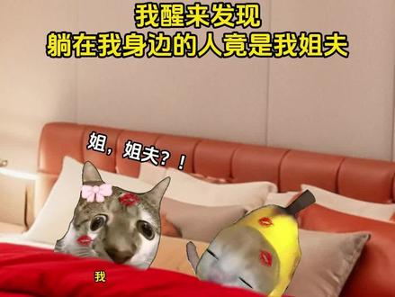 走错新房,姐夫变丈夫 #猫meme #猫meme故事