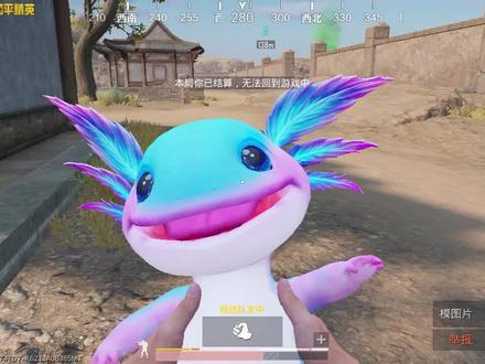 和平精英古墓遗迹龙源宝宝