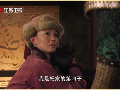 #大宋宫词 大辽驸马爷救大宋皇子?他的真实身份竟然是杨家将。#刘涛 #周渝民