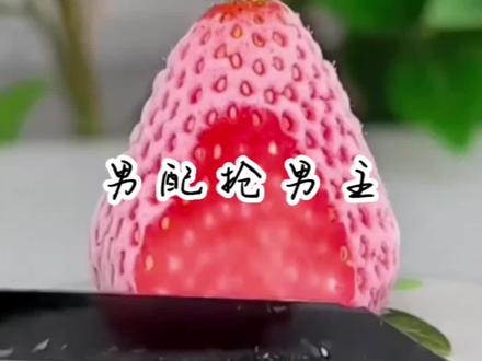 男配抢男主!攻略女主干嘛,霸总他不香吗。#女生必看 #高甜来袭 #双男主 #纯爱 #霸总和小娇妻的日常