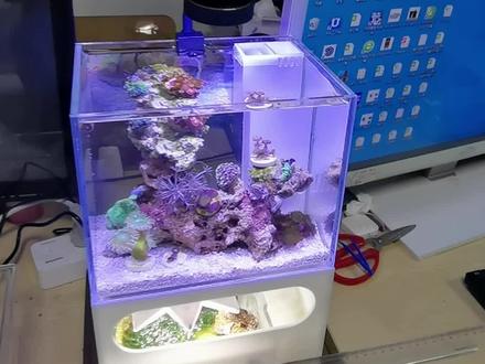 喜欢的进店看看吧!一个只要两三百
市面上应该无出其右