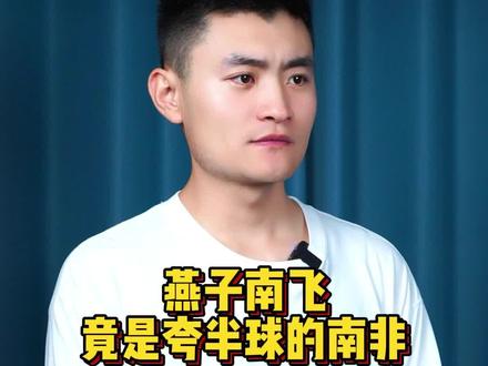 燕子南飞的南是南非 #燕子 #南非 #内容启发搜索