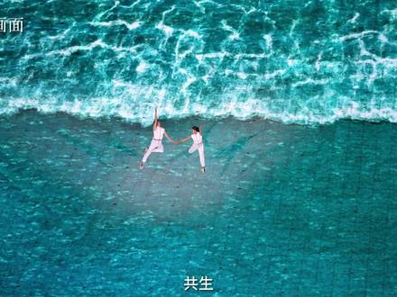 潮涌东方 | 杭州亚运会明日开幕,听听总导演团队怎么说