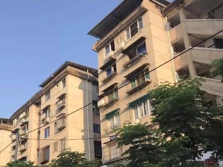 灯塔未来社区!来了!#丽水 #建设美好家园