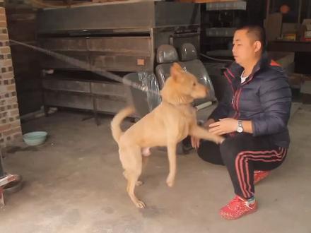 曾经价值一百多万的龟,现在两万不到跌落神坛之后多少人血本无归。曾经你养龟一年龟养你一辈子。理性养龟,家庭和睦