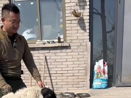 别以为你乖我就不打你#狗狗 #养狗经验分享 #训犬 #明亮与狗