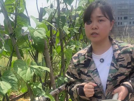 这样用一定不烧根不烧苗#种菜 #有机肥 #菜籽饼