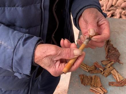 老一辈的叶子烟#农村日常 #返乡创业新农人