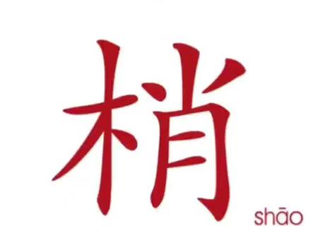 树梢的梢,末梢的梢。#亲子阅读 #每天学习一点点 #让阅读成为一种习惯 #幼儿识字 @DOU+小助手 @抖音小助手
