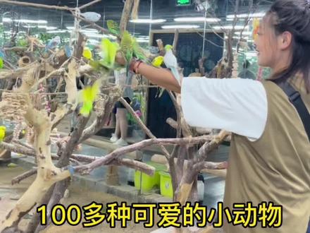 一定要带孩子来玩的地方,特别推荐,潍坊泰华城室内动物园,真正的一票到底,没有二次消费,#亲子游玩好去处 #暑假嗨玩计划 #遛娃好去处 #大小朋友一起嗨 #优惠活动火爆进行中