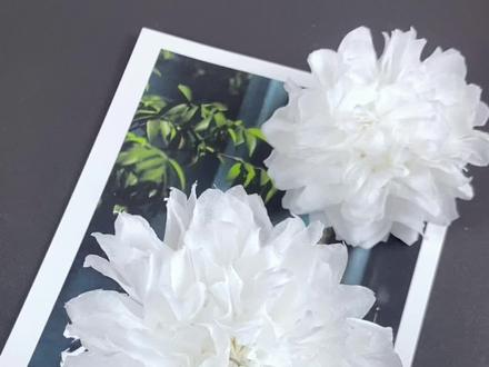 清明节要到了,教你用纸巾做一朵漂亮的小白花,缅怀先烈,祭奠英雄#幼儿园手工 #知识创作人 #手工 #育儿 #亲子手工 #废物利用 #折纸 #清明节手工#清明节缅怀先烈 #抖音小助手