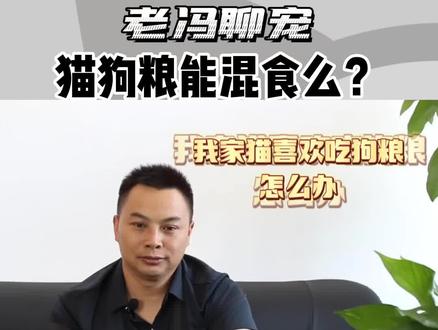 猫粮狗粮有什么区别?能混食么?#干货分享
