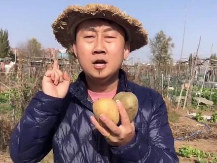小朱带您了解土豆发芽了、变绿了还能吃吗