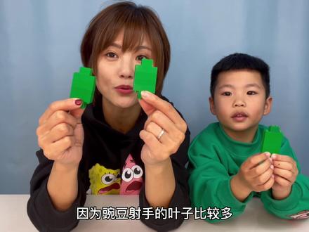 教你搭建大大的豌豆射手和向日葵,用积木神还原植物大战僵尸场景 #亲子搭建 #植物大战僵尸