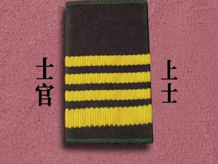 致敬激情燃烧的岁月,解放军87式陆军军衔等级一览