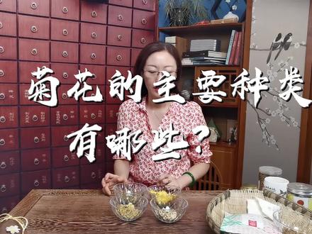 菊花的主要种类 #菊花 #养生 #健康