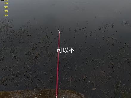 12月31日 (1) #钓鱼人就是这么疯狂 #野钓野钓 2025年最后一波