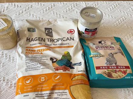 测评三款常用的鹦鹉奶粉:哈根、凡赛尔a21、开元。#鹦鹉奶粉 #鹦鹉喂奶 #哈根鹦鹉奶粉 #凡赛尔a21鹦鹉奶粉 #开元鹦鹉奶粉 #牡丹鹦鹉