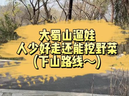 🌿 大蜀山带娃下山神线|人少好走还能挖野菜✨
又来更爬山攻略啦~
好多宝妈追更下山路线,终于剪出来了,给大家出保姆级完整版下山攻略,新手、带娃都能冲,跟着走就行!
依旧分成3个视频更新:
✅ 上一条:全程上山路线
✅ 这条:轻松下山路线
✅ 最后一条:地铁+自驾怎么走
不开车、坐地铁都能看懂,直接抄作业~
宝妈重点注意:
下山别贪快!平缓路段多,娃能撒欢跑,遇到野菜区可以慢下来挖一挖,带个小铲子收获满满~
路线分段拍好啦,人少路平还能挖野菜~
收藏起来,周末带娃一起来爬山!
#带娃爬山攻略 #保姆级爬山路线 #周末遛娃好去处 #大蜀山下山攻略 #挖野菜的快乐