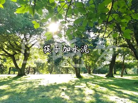 #抵制网络烂梗 #筷子加水泥烂梗 求官方给我流量,别看就几分钟,实则我配了10多分钟,日语不标准,致歉,嗓子快废了