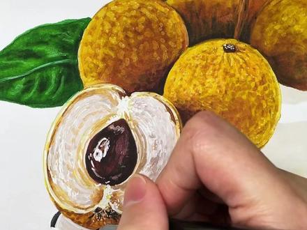 治愈系手绘|新手小白如何用马克笔画龙眼?
#原创手绘 #每日一画 #跟着抖音学画画 #马克笔绘画