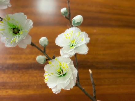 #创作灵感 绿色重瓣梅花!只要一把勺子就能做哦!俏也不争春,只把春来报。待到山花烂漫时,她在丛中笑。#纸艺花 #手工diy #手工花制作 #梅花香自苦寒来