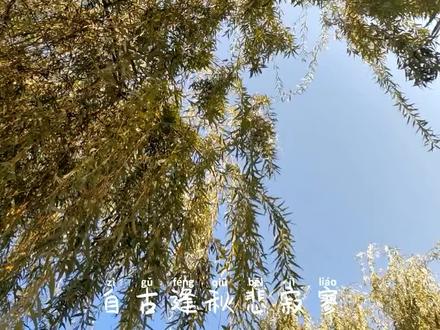 秋高气爽,微风习习,不负美好时光,平安的过着,适当的忙着,这就是生活该有的样子!#治愈系风景