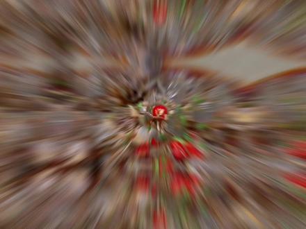 公认寄生虫最多的几种食物,看看你经常吃哪几种?#福寿螺 #蛙 #蟹 #醉蟹 #田螺 #螺 #醉虾 #牛蛙 #鳝鱼 #螃蟹 #寄生虫 #知识科普 #涨知识