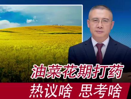 油菜花期打药 热议啥