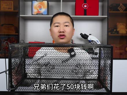 50块买了个全自动捕猫笼,放到野外抓捕流浪猫,能捉到几只? #开箱 #测评 #捕猫笼 #流浪猫 #打野