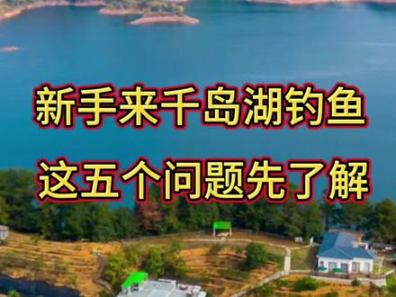新手来千岛湖必须要了解的5个问题 如果你想来千岛湖钓鱼,这个视频你要先看完#钓鱼 #千岛湖钓鱼 #千岛湖钓鱼民宿 #千岛湖酒店
