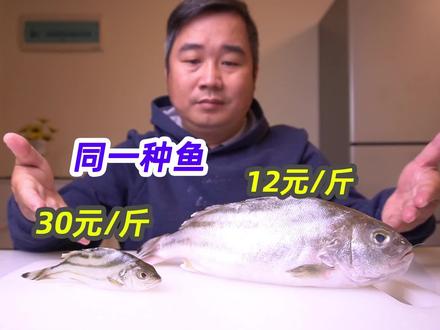 吃海鲜不懂新鲜度,会吃多少亏?据说高手都是这样看海鱼新鲜度的 #海鲜 #海鲜知识 #海鱼