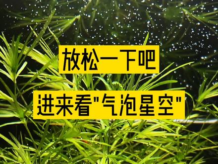 放松一下吧,进来看“气泡星空”