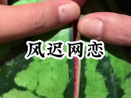 风迟网恋 耽美向 谨慎进入@抖音小助手