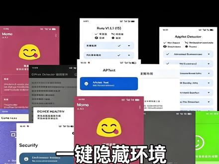 30秒过环境! #root #玩机 #隐藏环境 #root过环境