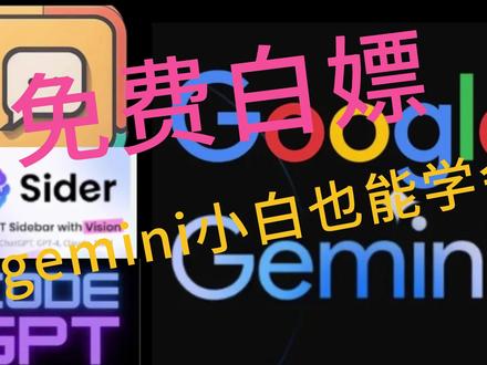 小白也能学会,利用第三方chatgpt套壳软件实现google gemini整合 #人工智能 #gemini