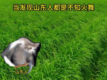 当发现山东人都是不知火舞?#猫meme #不知火舞 #日语教学