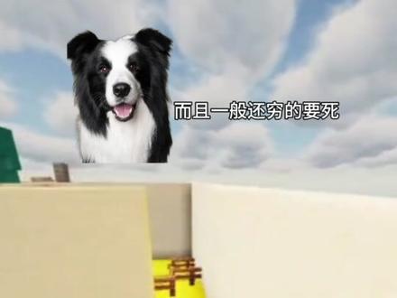 敢不敢挑战一星期不借钱?!#热门 #混的人 #边牧#高智商 #锐评