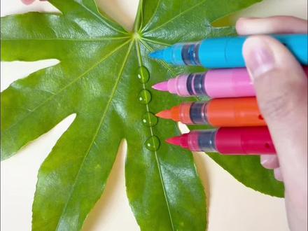 家里有爱画画的小朋友,一定要准备这款直液式马克笔!亚克力的包装,高级感满满!软笔头的设计,描边和大面积铺色都可以!色彩鲜艳,饱和度高!不会透纸透色!#儿童绘画 #丙烯马克笔 #马克笔推荐 #画画