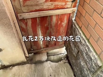两万块改造的花园,给的情绪价值太高啦 #中华木绣球 #月季 #一楼带院 #交换我家的春天 #抖音宝藏生活家