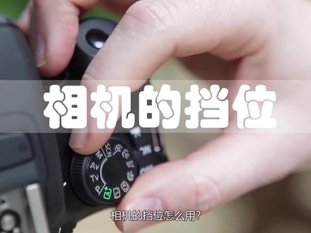 相机P、A、S、M档位应用,30秒瞬间明白#2019生机大会