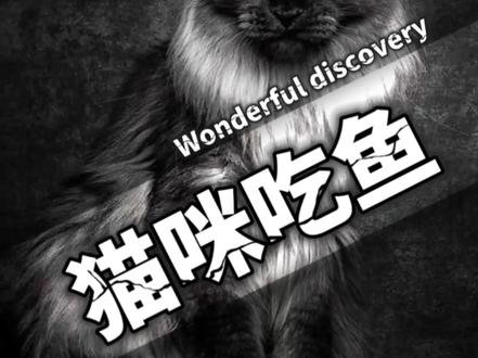 猫咪那么爱吃鱼,为什么不会被鱼刺卡住呢?#科普 #科普知识 #寻找1000位科普达人 #涨知识 #猫咪