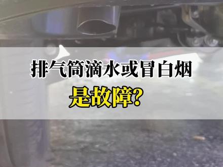 汽车排气筒滴水或者冒“白烟”是故障?#爱车讲堂 #用车小知识 #新年要出色