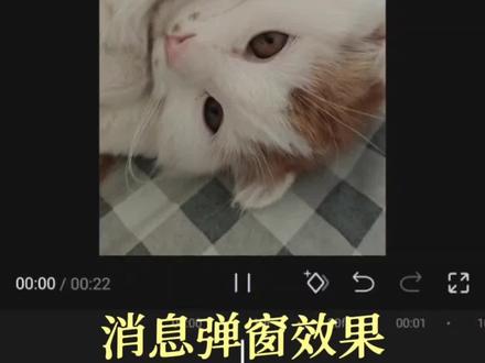 挑战100天成为剪辑高手(59/100)
消息弹窗效果#手机剪辑教程 #新手小白学剪辑 #真实生活分享官 #odd剪辑 #消息弹窗效果