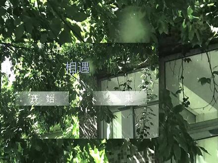 记忆 #欲言难止 #剪辑 工程@Snow.