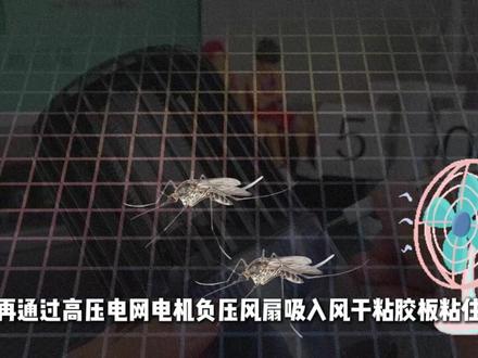 为什么有的灭蚊灯紫光很亮,却一只蚊子都抓不到? #灭蚊灯 #蚊子 #科普 #抖音精选